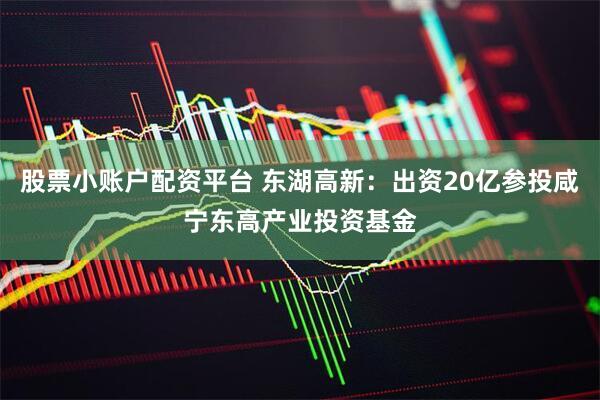 股票小账户配资平台 东湖高新：出资20亿参投咸宁东高产业投资基金